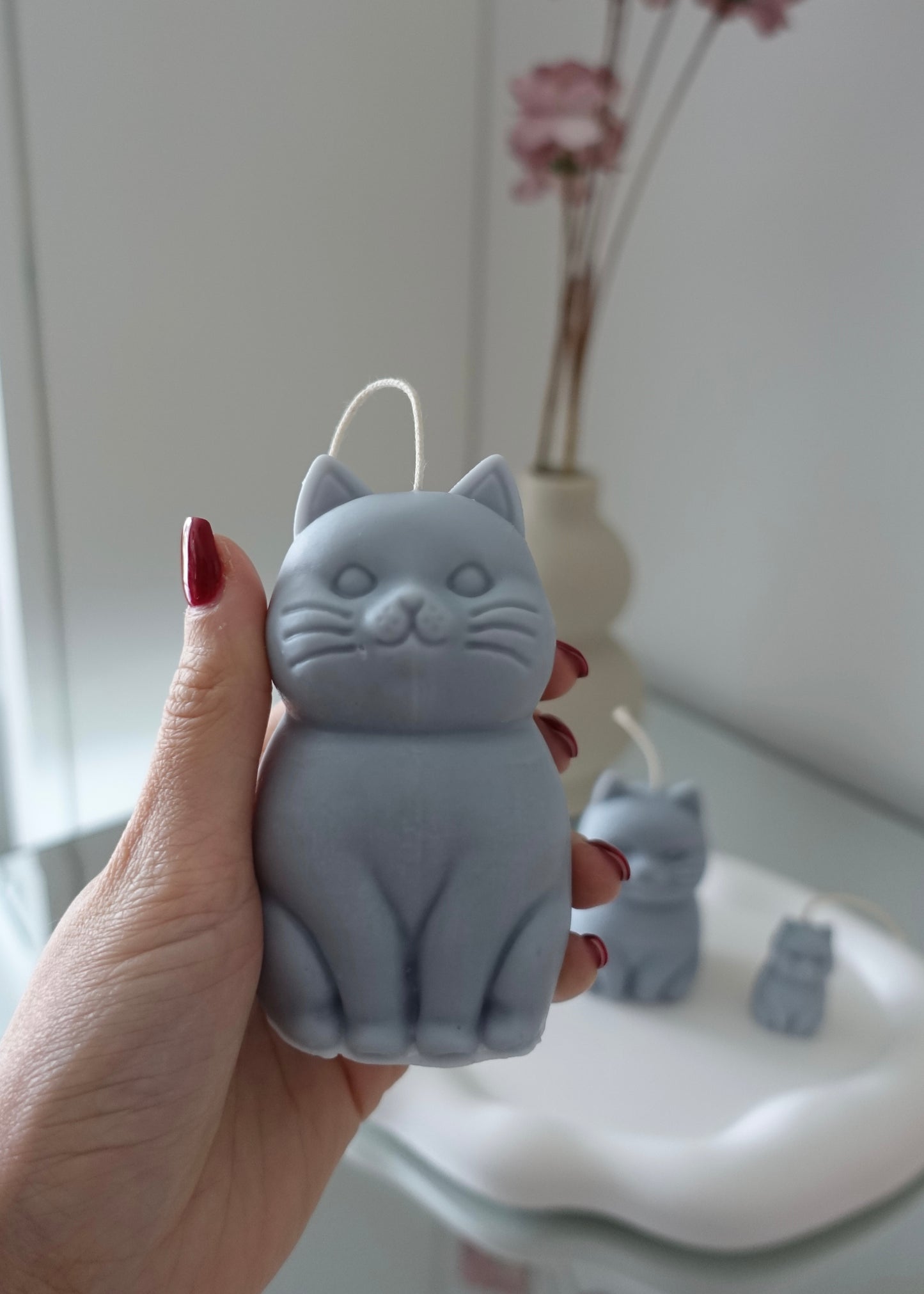 Petit Miaou 🐈