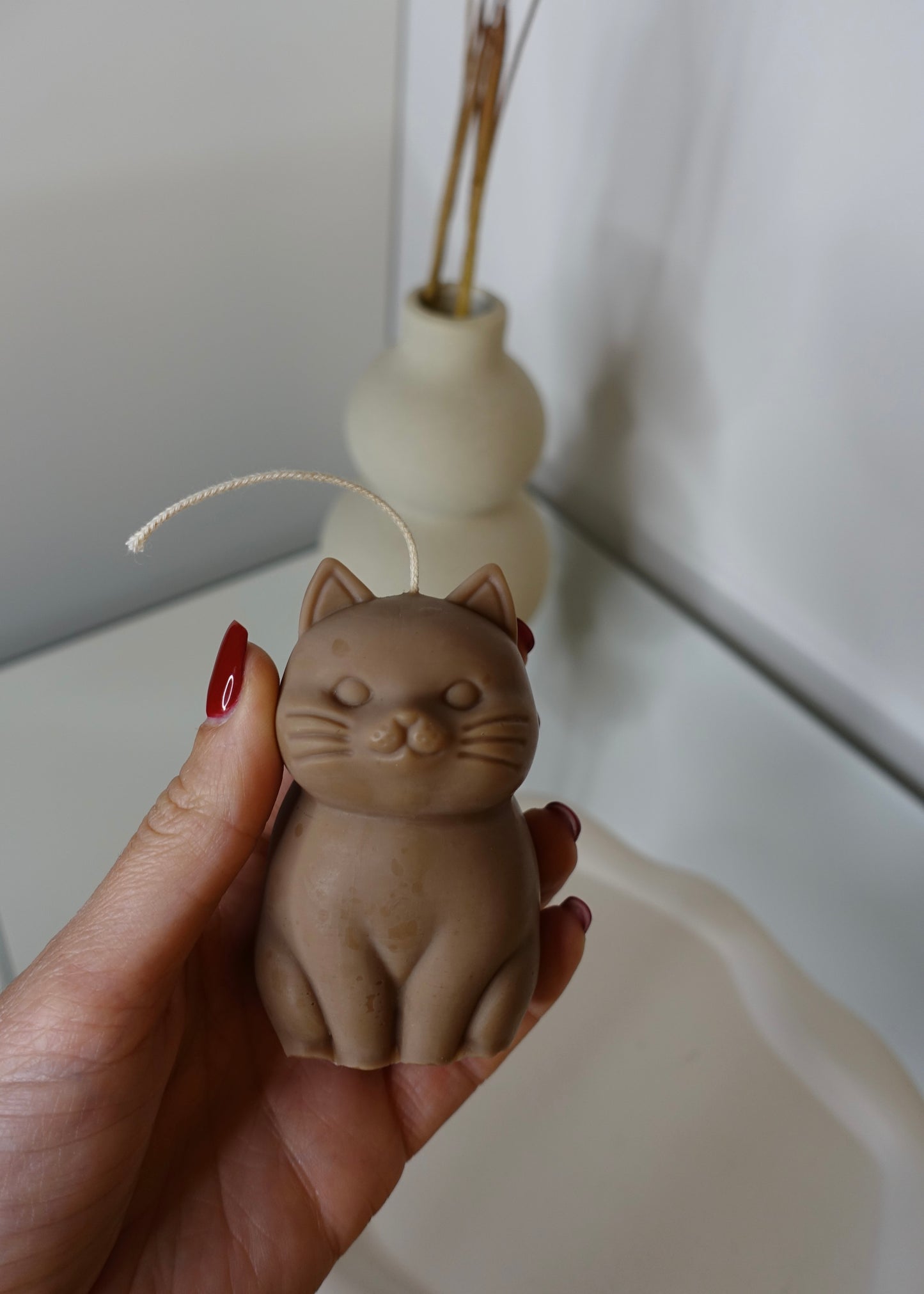 Petit Miaou 🐈
