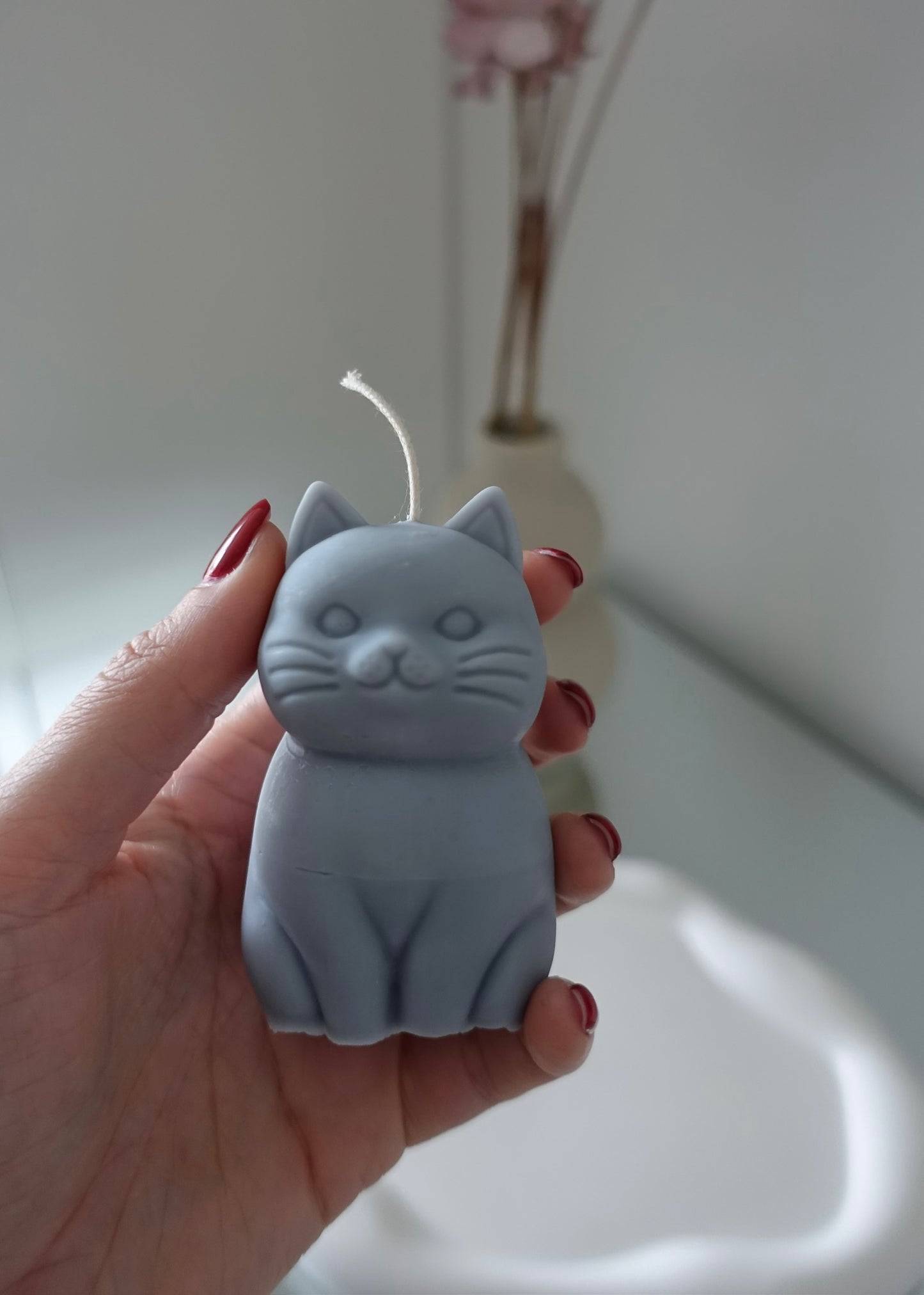 Petit Miaou 🐈