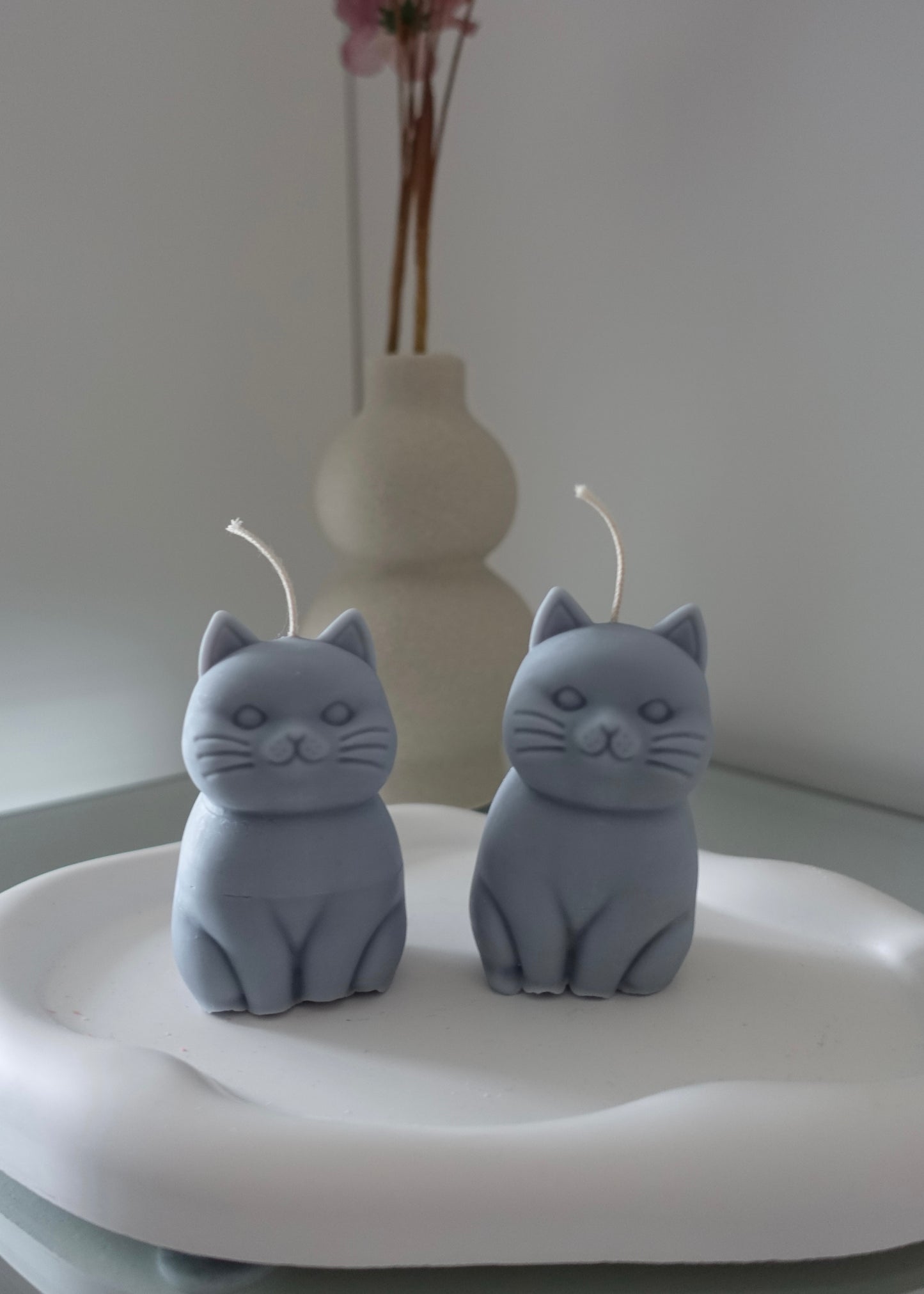 Petit Miaou 🐈
