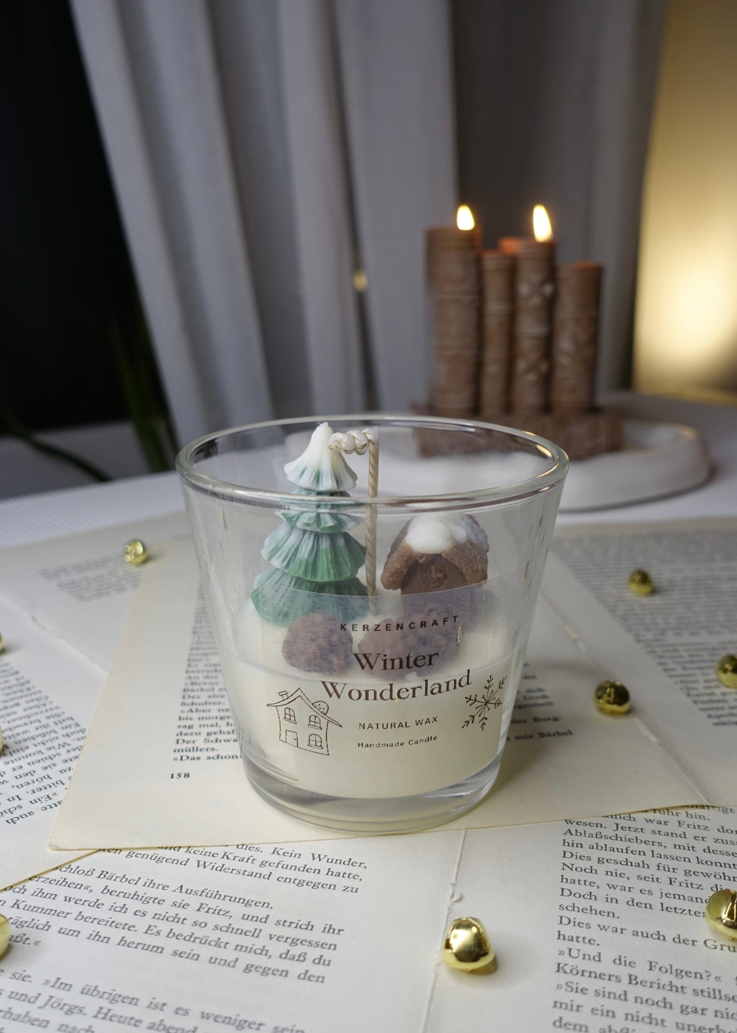 Winter Wonderland 🌲🏠