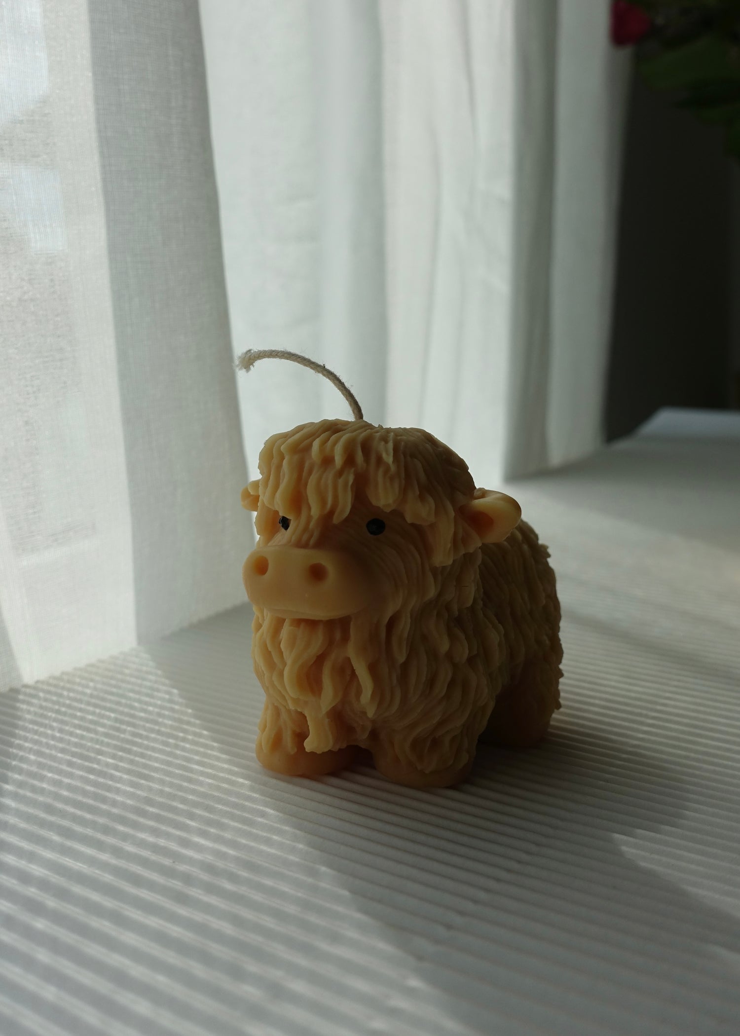 Tiere
