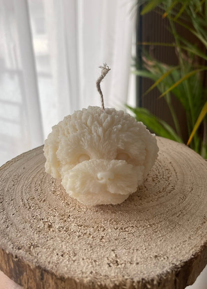 Luna – der Mini Pudel Kopf 🐩