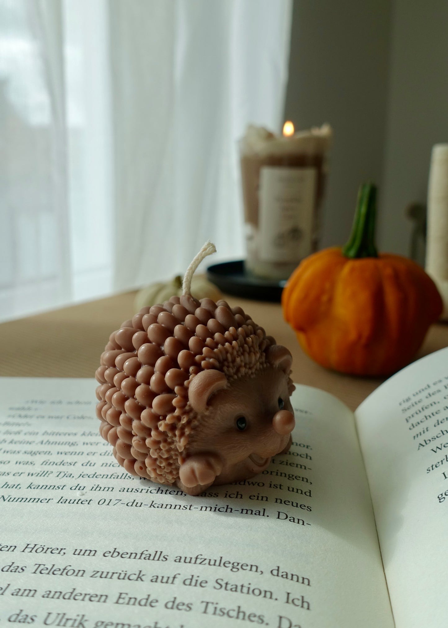 Milo - der Igel 🦔