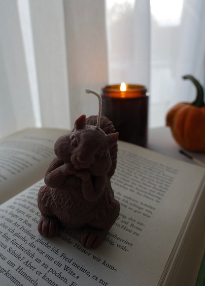 Chippy- das Eichhörnchen 🐿️