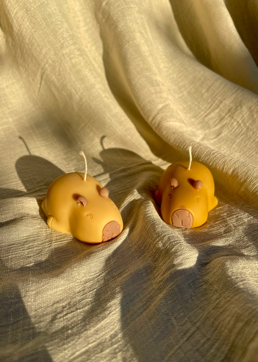 Capybara Kerze 🦦