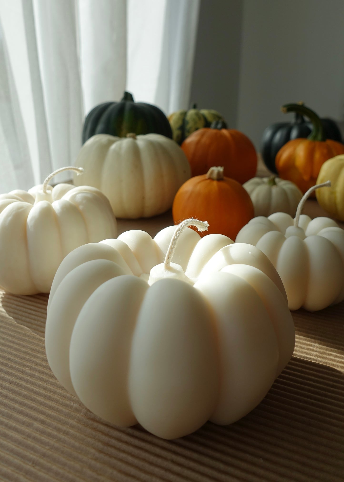 Happy Harvest Kürbis