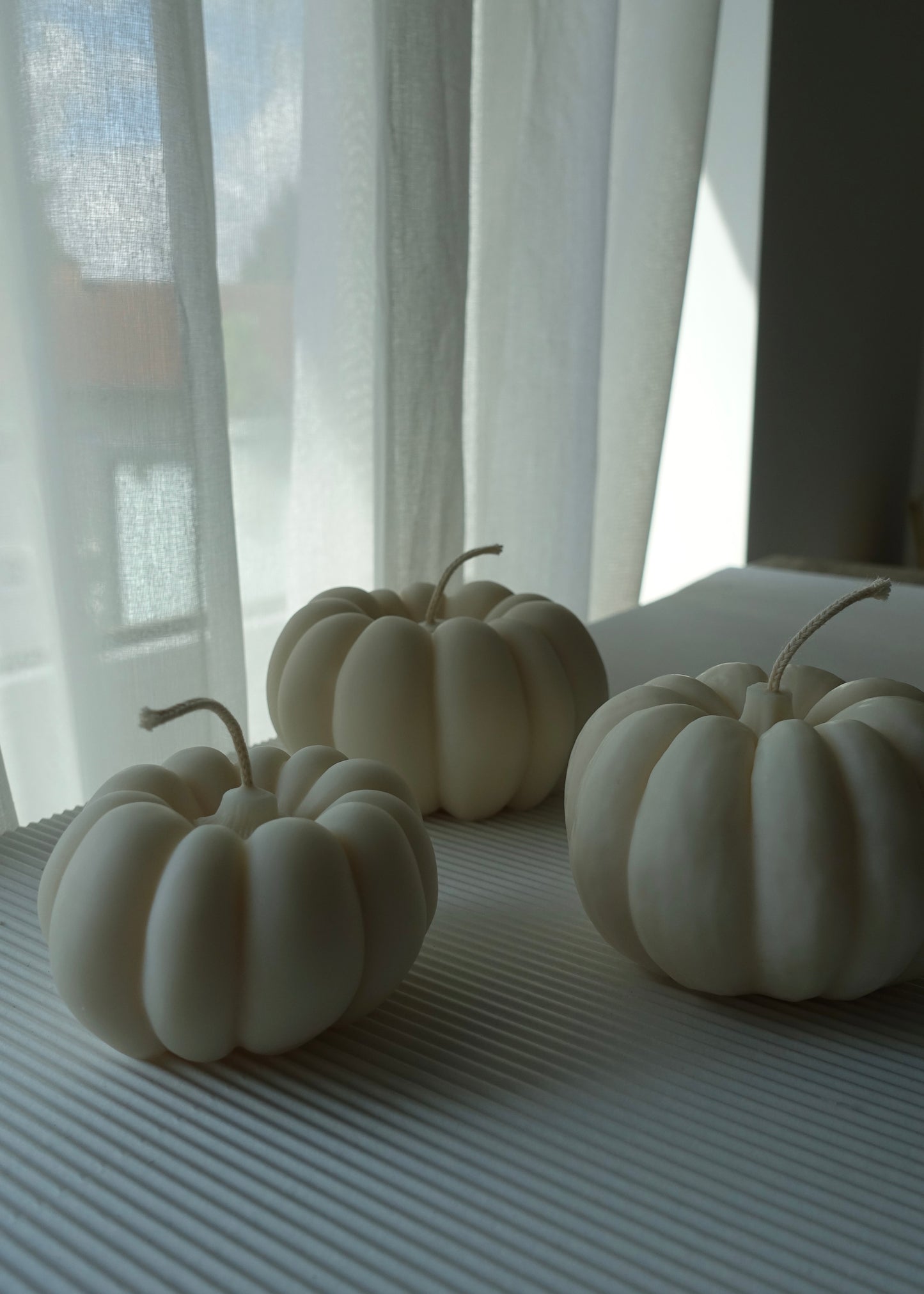 Happy Harvest Kürbis