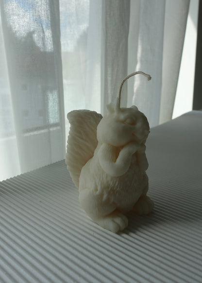 Chippy- das Eichhörnchen 🐿️