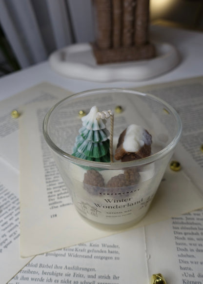 Winter Wonderland 🌲🏠