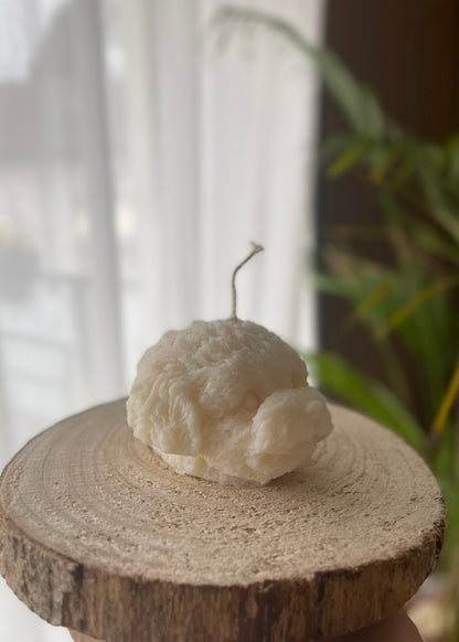 Luna – der Mini Pudel Kopf 🐩