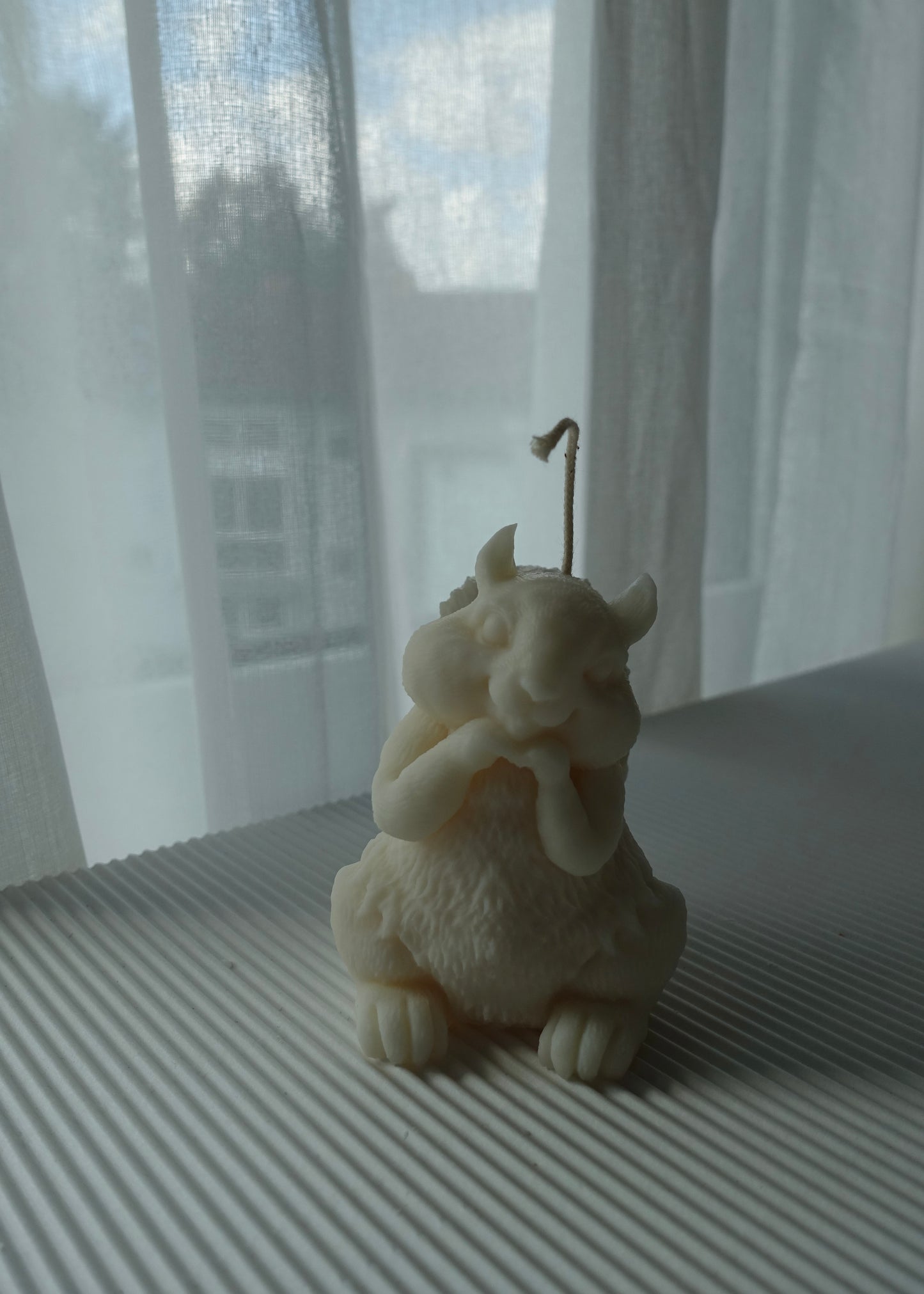 Chippy- das Eichhörnchen 🐿️