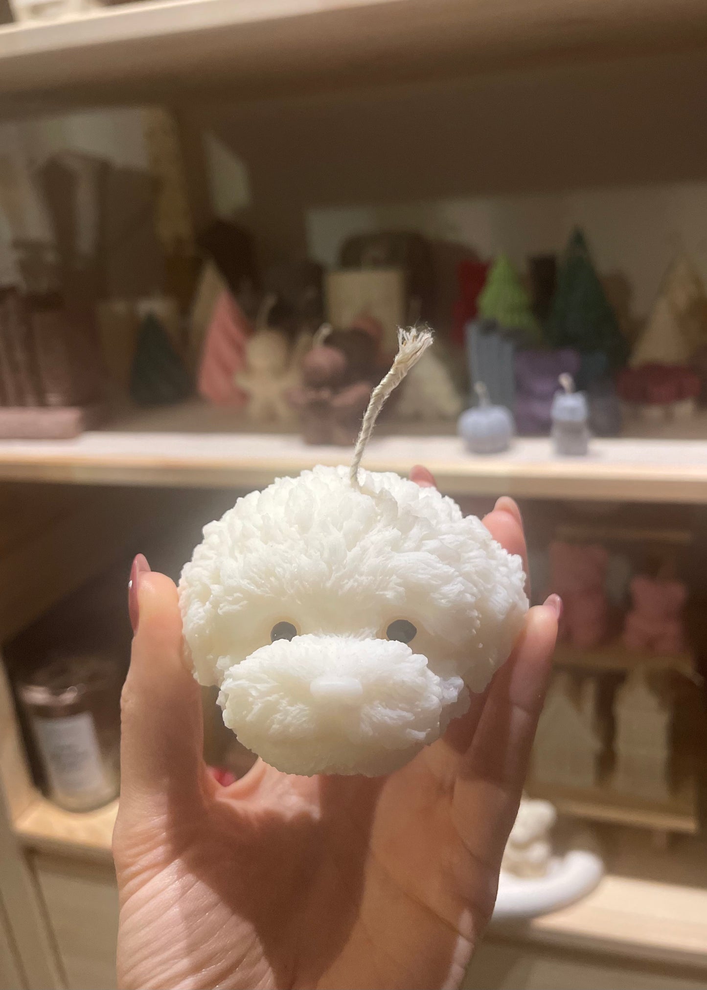 Luna – der Mini Pudel Kopf 🐩