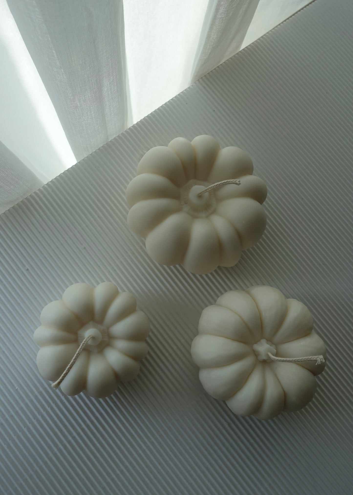 Happy Harvest Kürbis