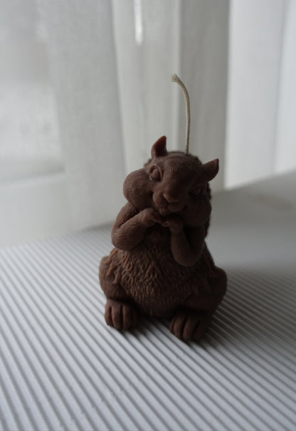 Chippy- das Eichhörnchen 🐿️