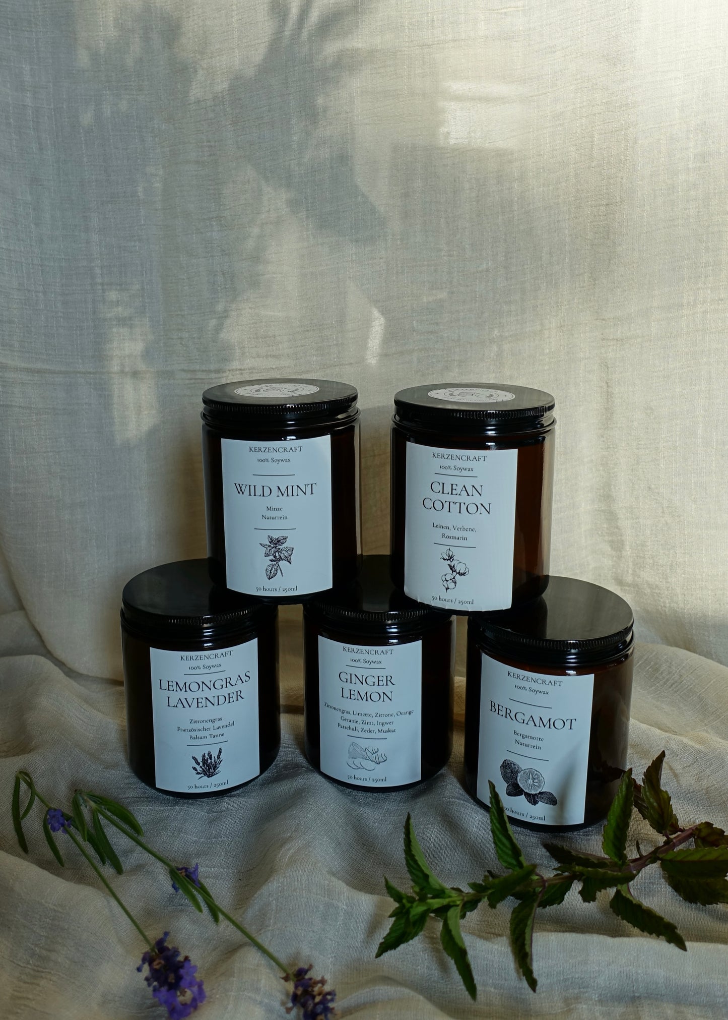 Aroma Rituals Collection