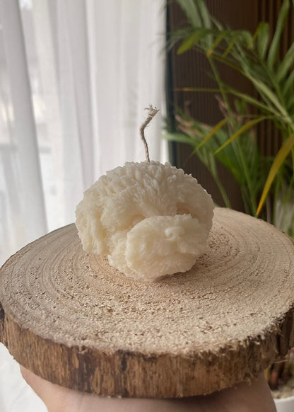 Luna – der Mini Pudel Kopf 🐩