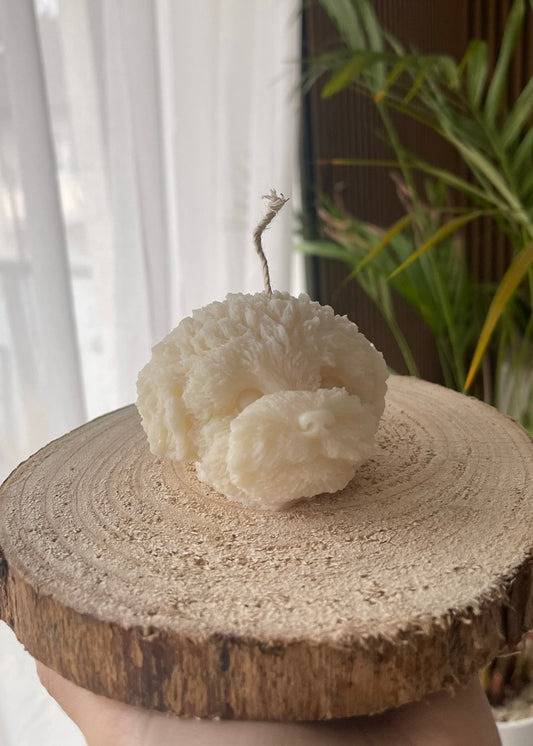 Luna – der Mini Pudel Kopf 🐩