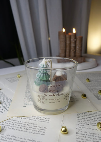 Winter Wonderland 🌲🏠