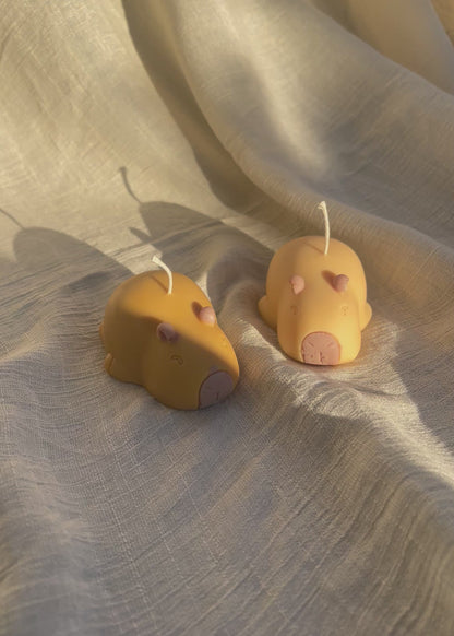 Capybara Kerze 🦦